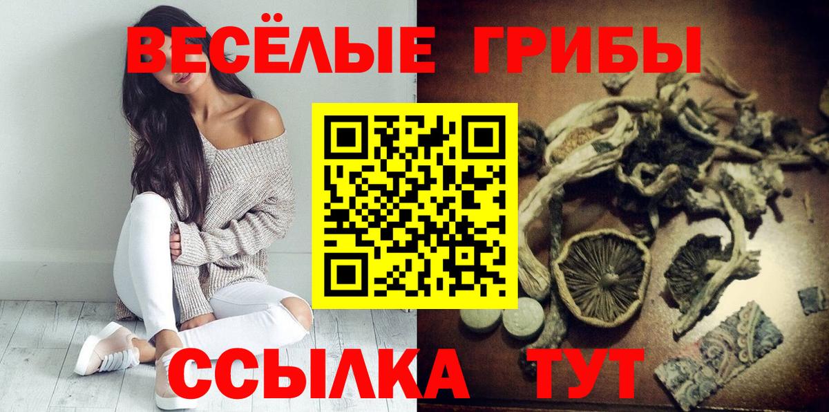 Псилоцибиновые грибы прущие грибы Тюмень