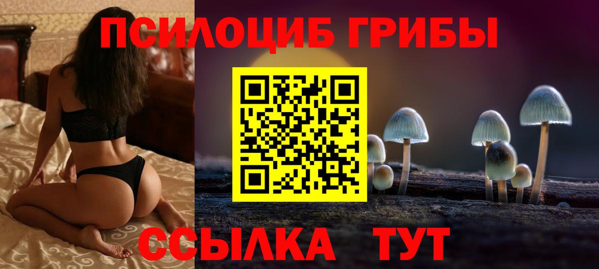 Тюмень  даркнет сайт  Вход с VPN  Псилоцибиновые грибы MAGIC MUSHROOMS 