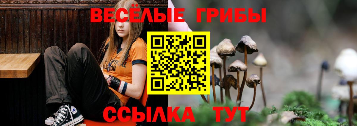 Тюмень  Марихуана  КОКАИН  ЭКСТАЗИ  АМФ кристаллы  Меф МЯУ МЯУ   Гашиш  Вейп ТГК  Вход с VPN  Гашиш 